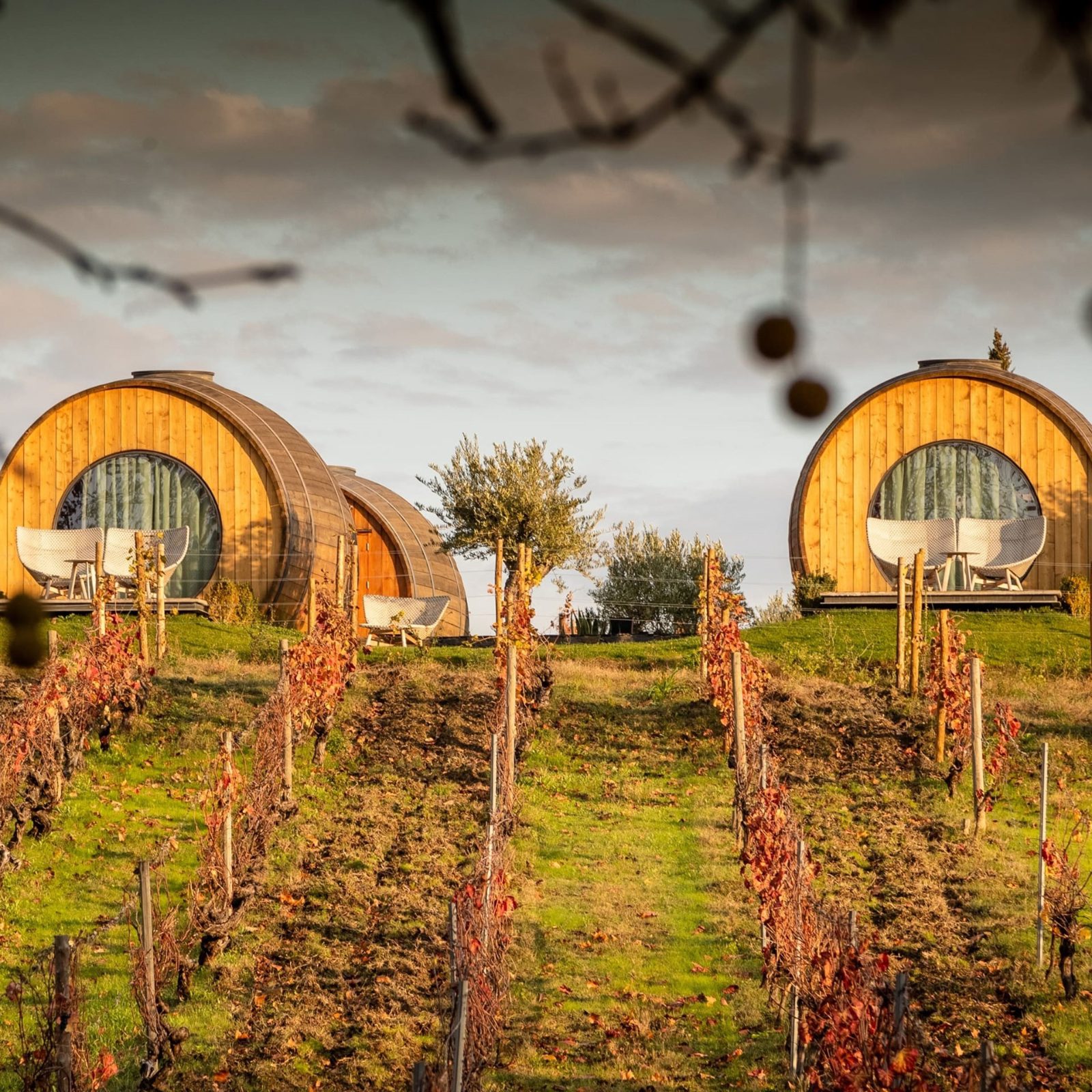 Quinta da Pacheca Vineyard Terraces
