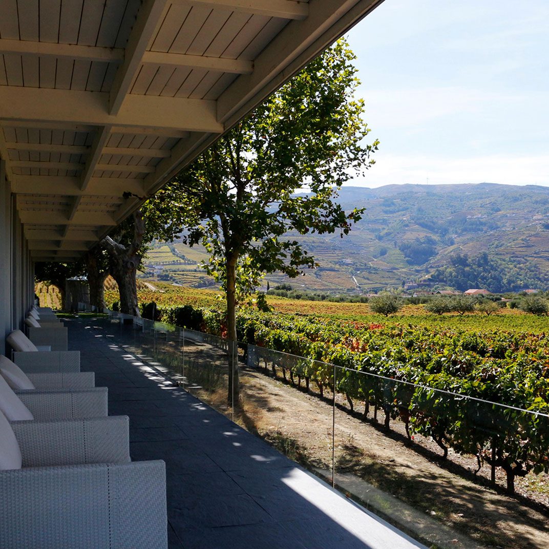 Main Tasting Room Terrace