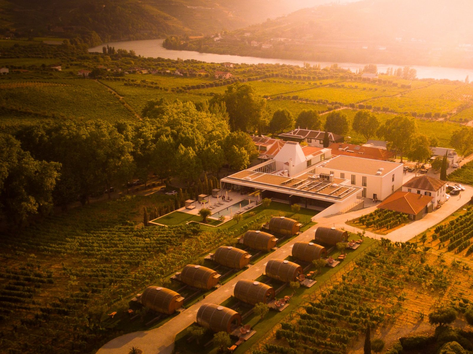 Vineyards