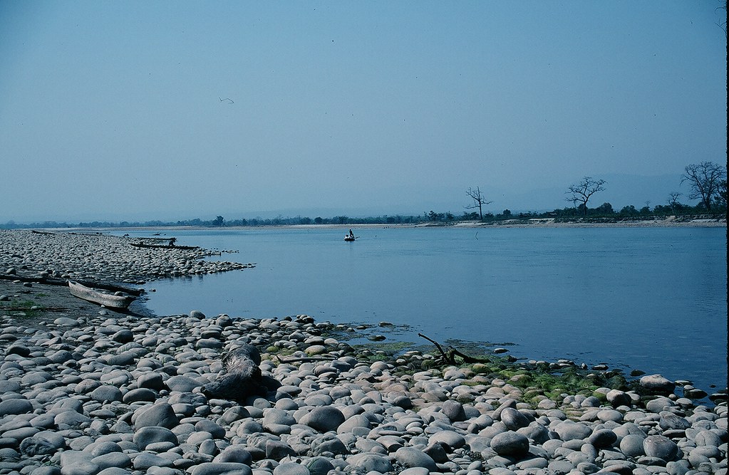 Narayani River Viewpoint