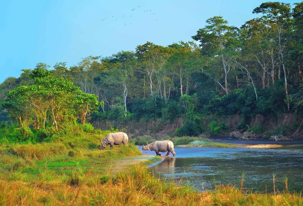 Chitwan Core Grasslands and Sal Forest