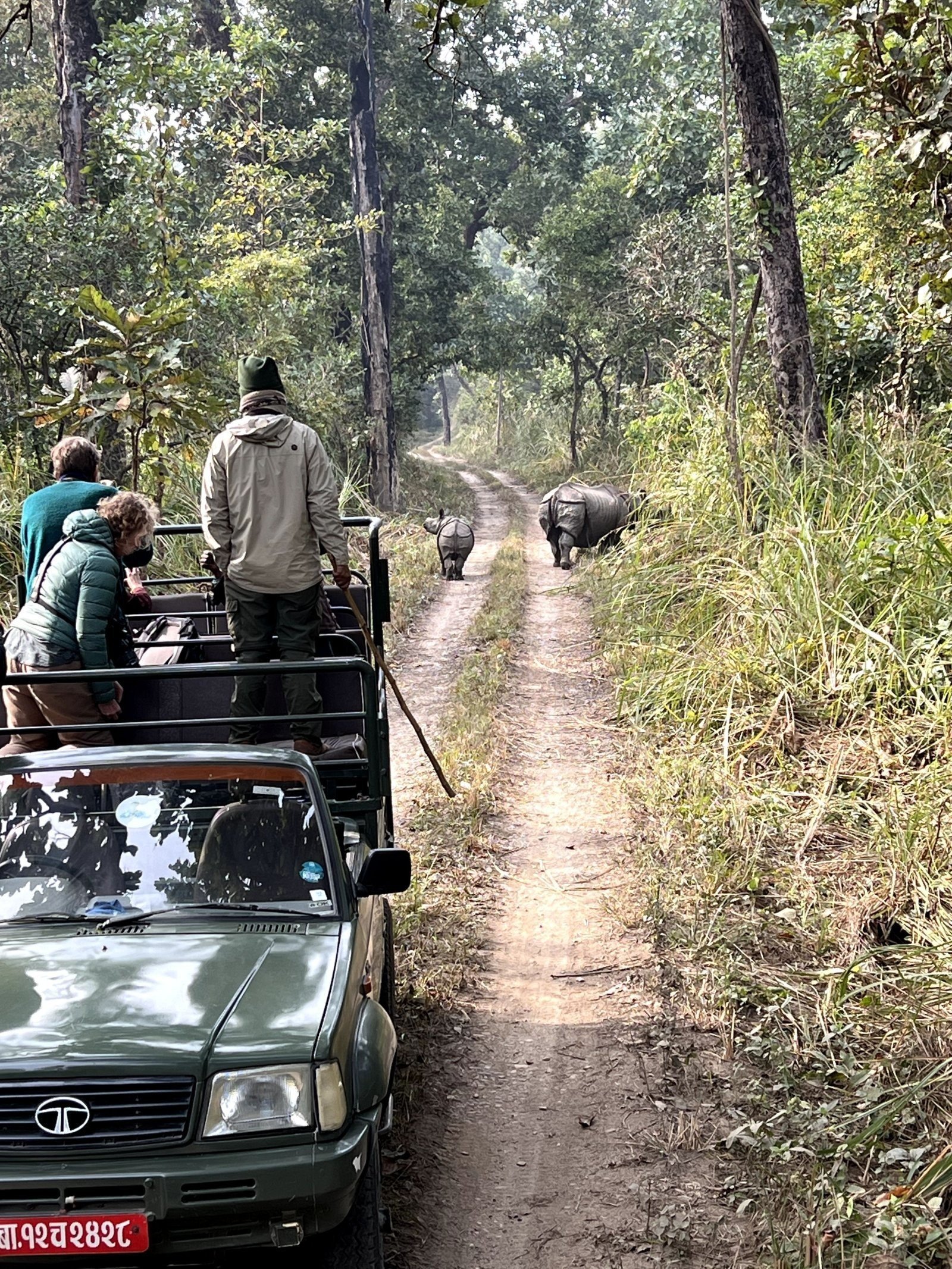 Early Morning Jeep Safari
