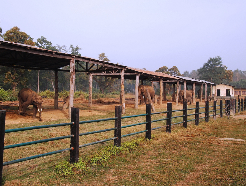 Elephant Breeding Center