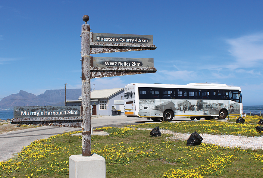 Guided Bus Tour of the Island