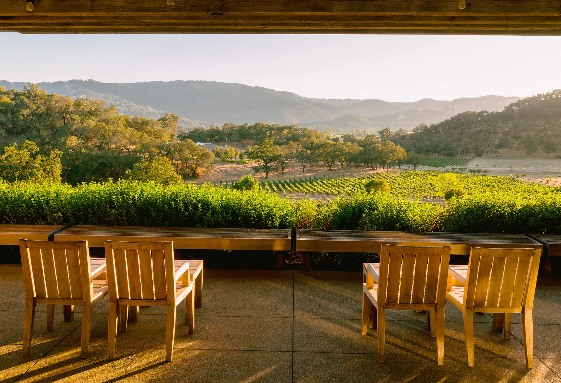 The Tasting Room Terrace
