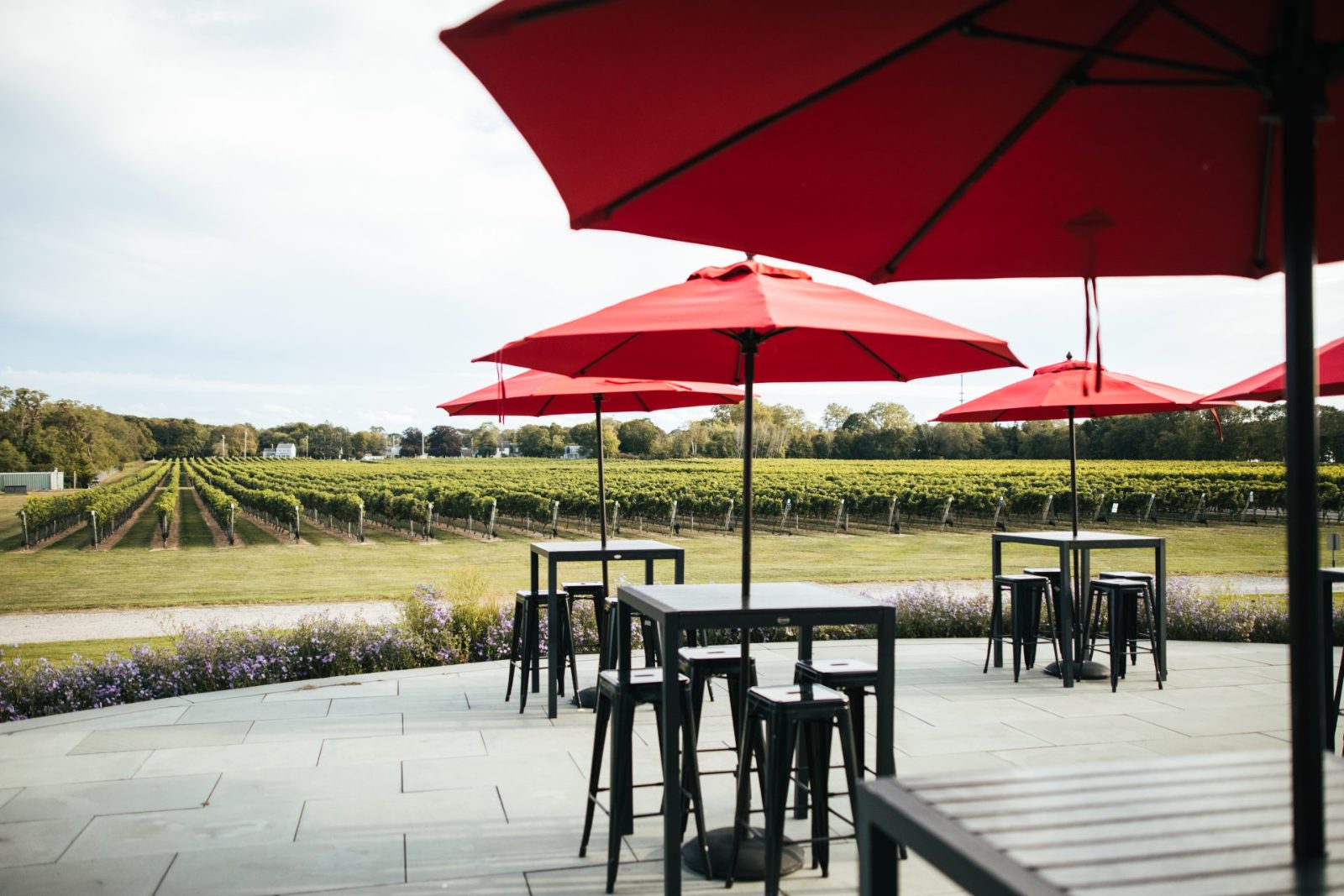 Tasting Room Terrace
