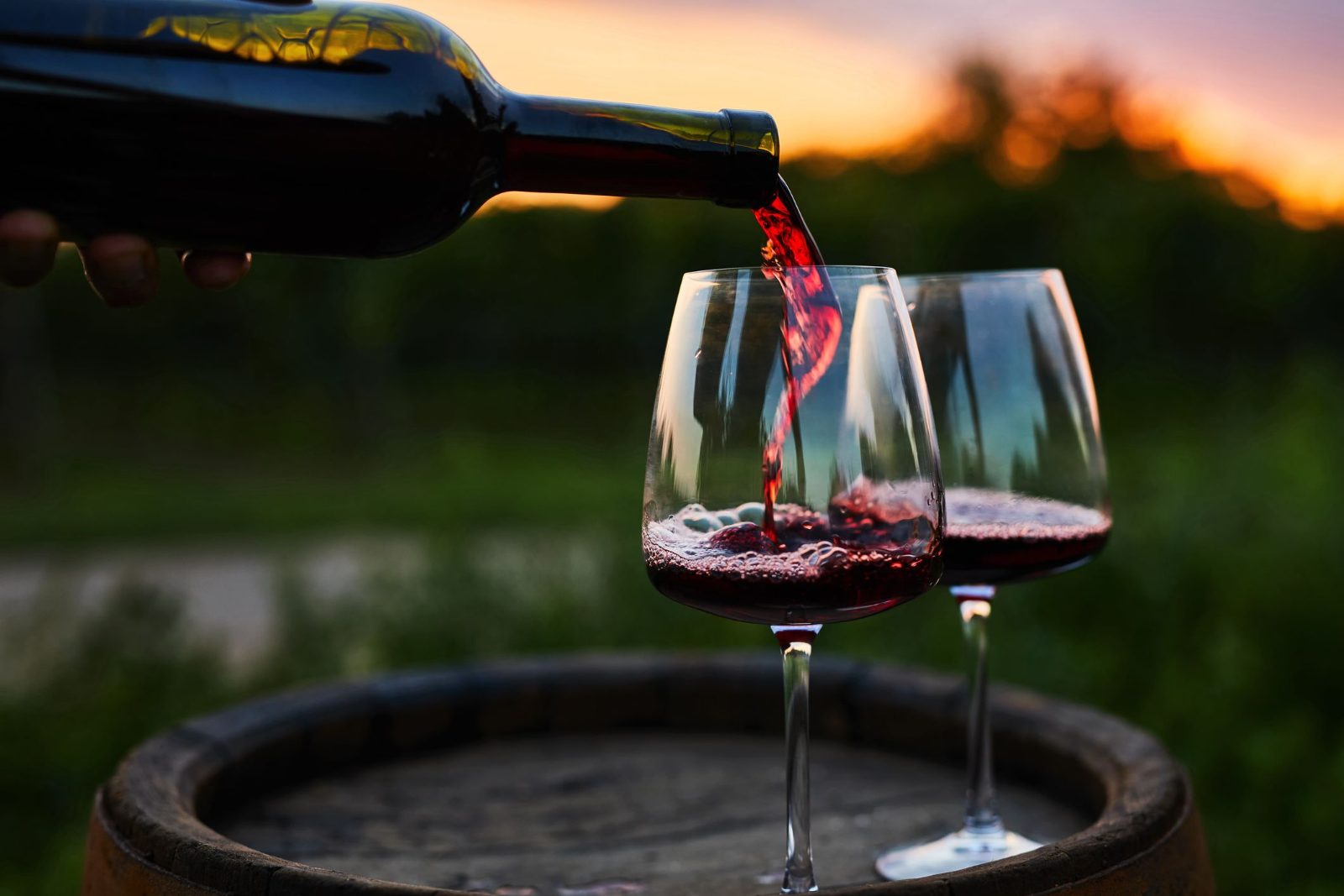 Private Wine Tour Long Island