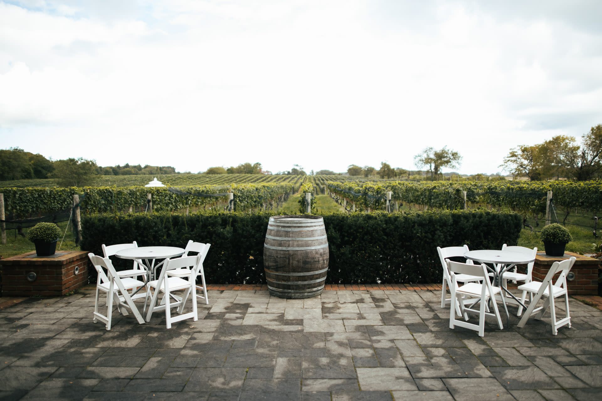 Pellegrini Vineyards Outdoor Terrace