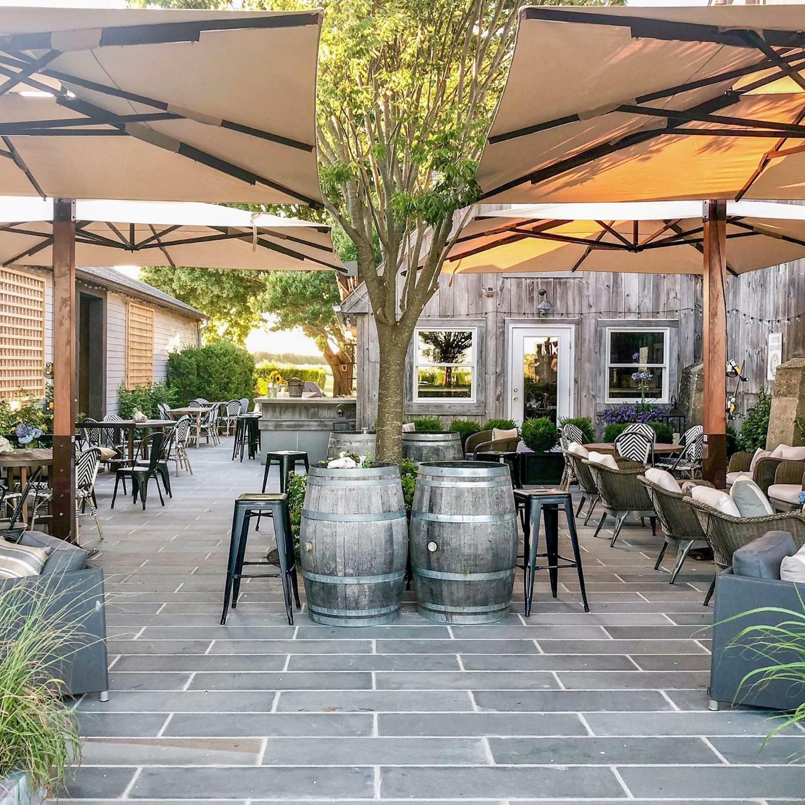 Rose Hill Vineyards