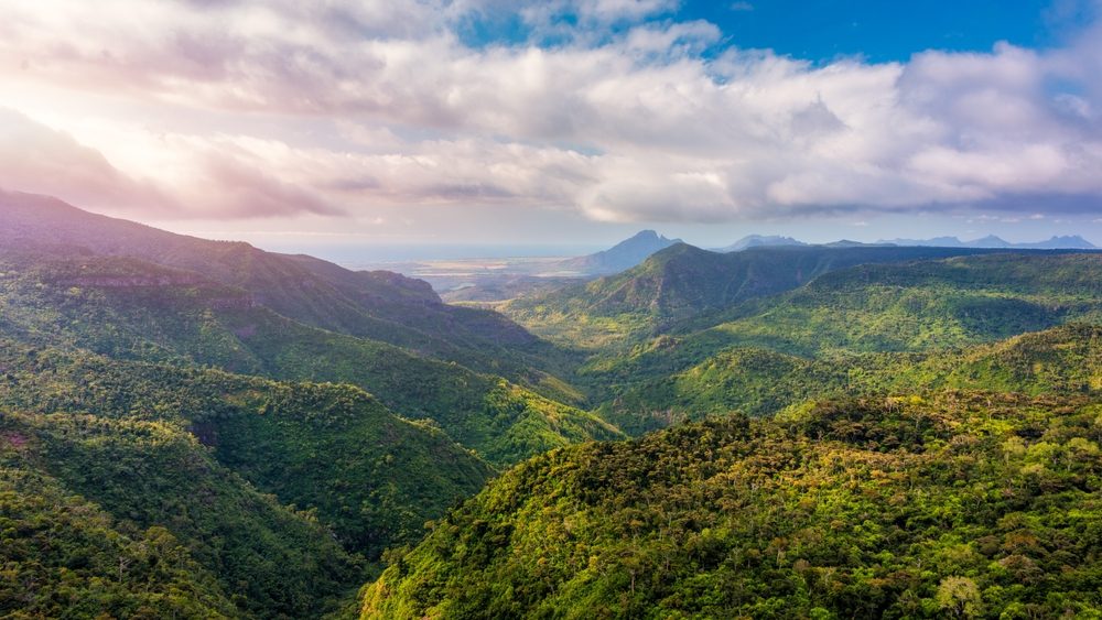 Black River Gorges National Park