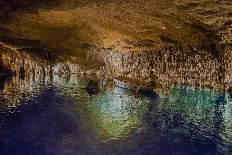 Coves dels Hams