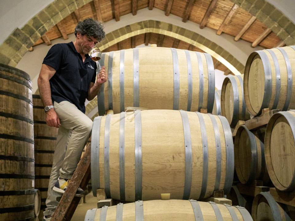Sicily Wine Tour Palermo