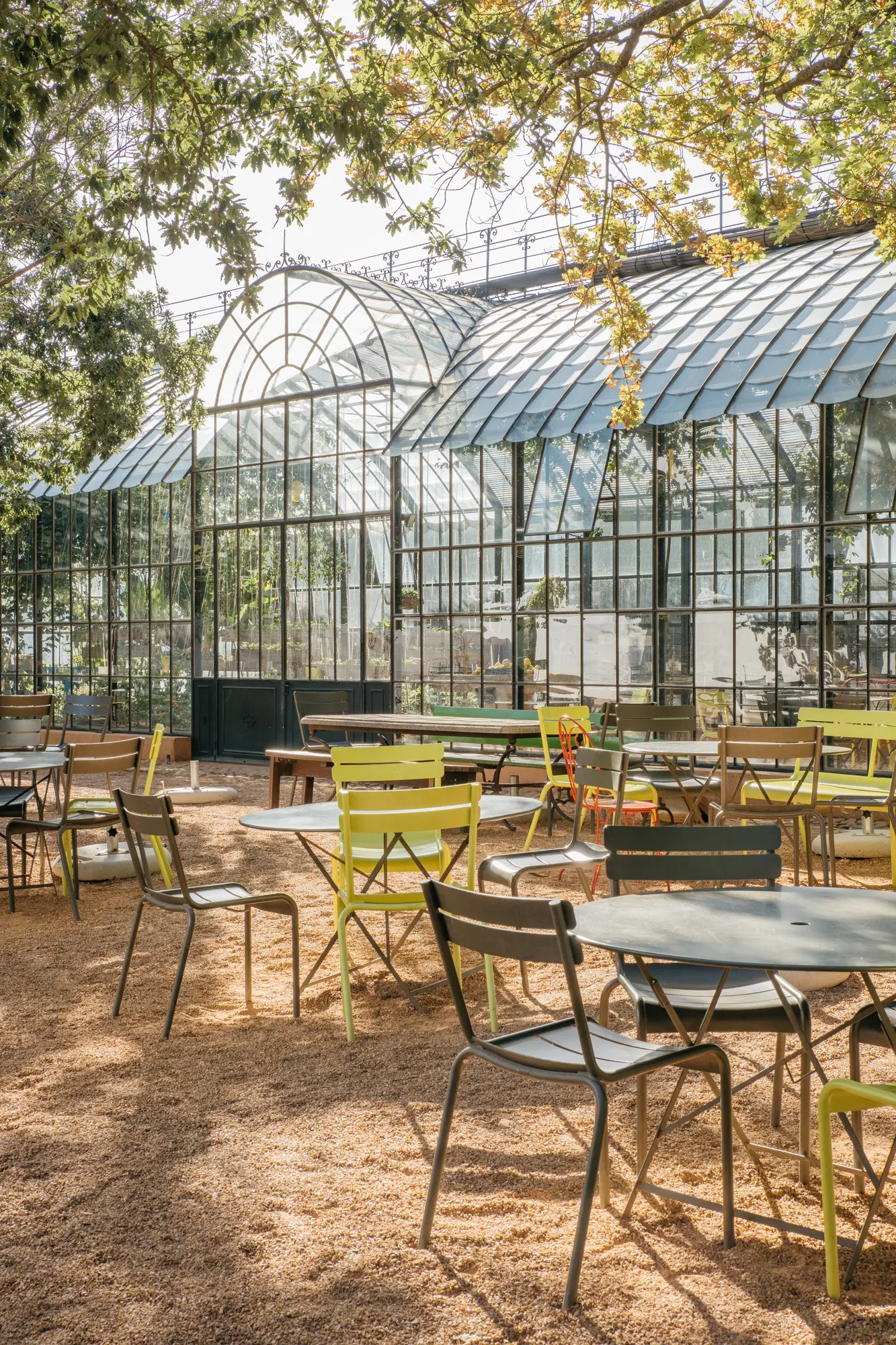 The Greenhouse