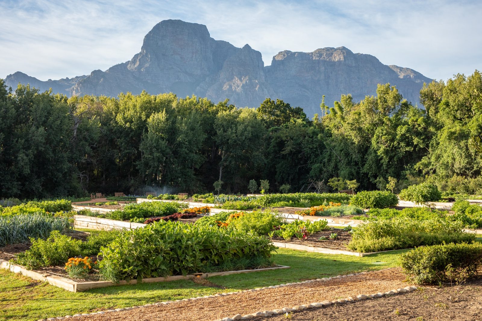 Boschendal Werf Garden