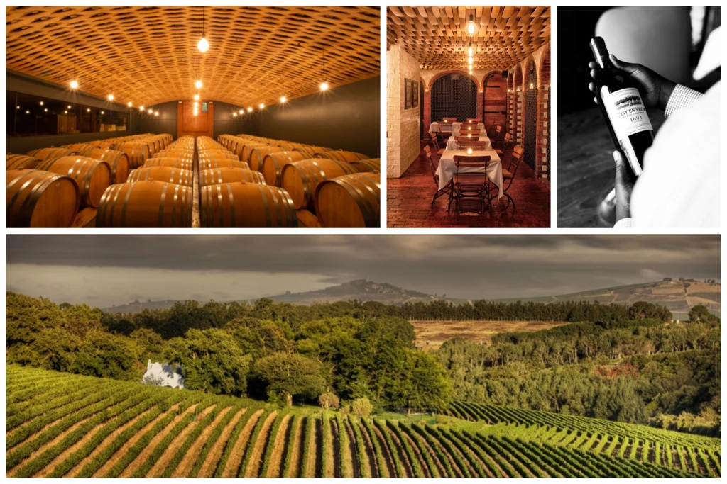 Rust en Vrede Wine Estate Barrel Room
