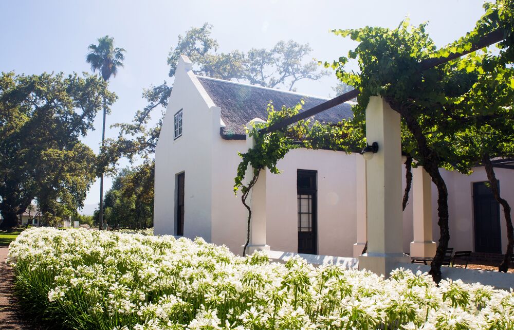 Spier Wine Farm Werf