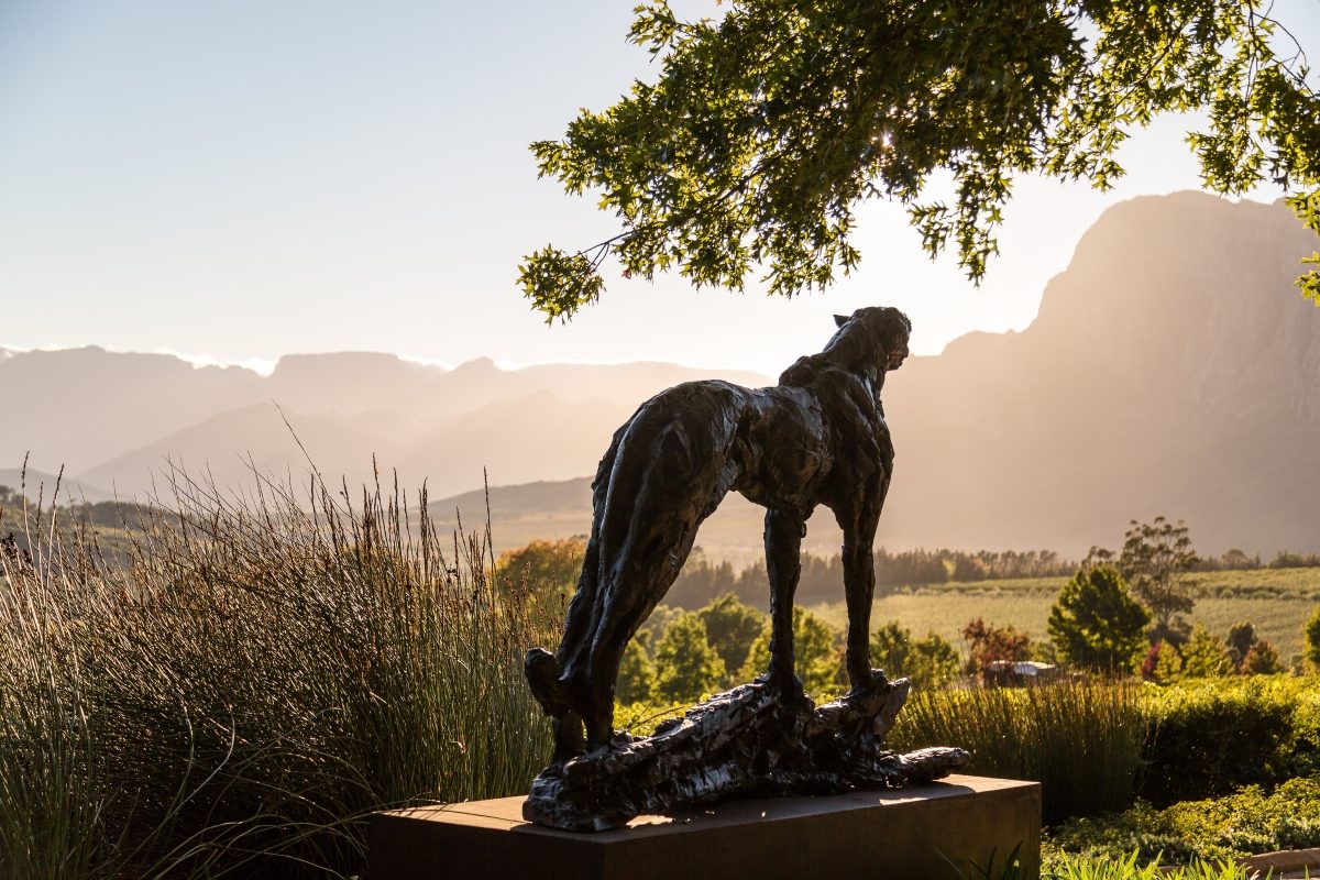 Delaire Graff Estate Sculpture Garden