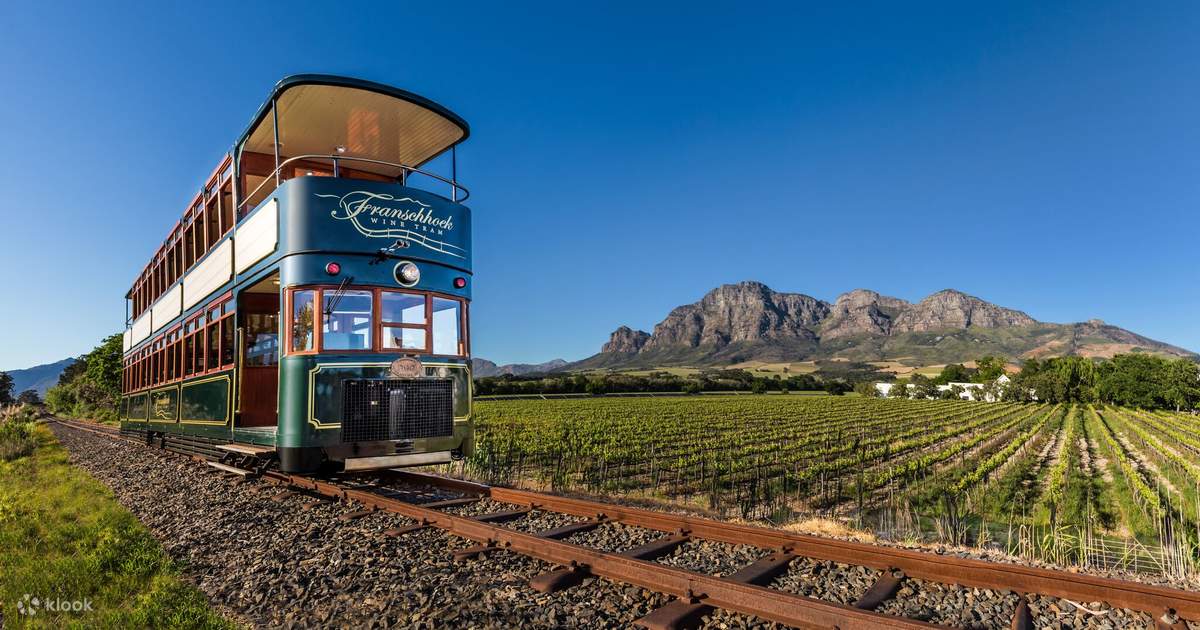 Cape Town Wine Tour Tram