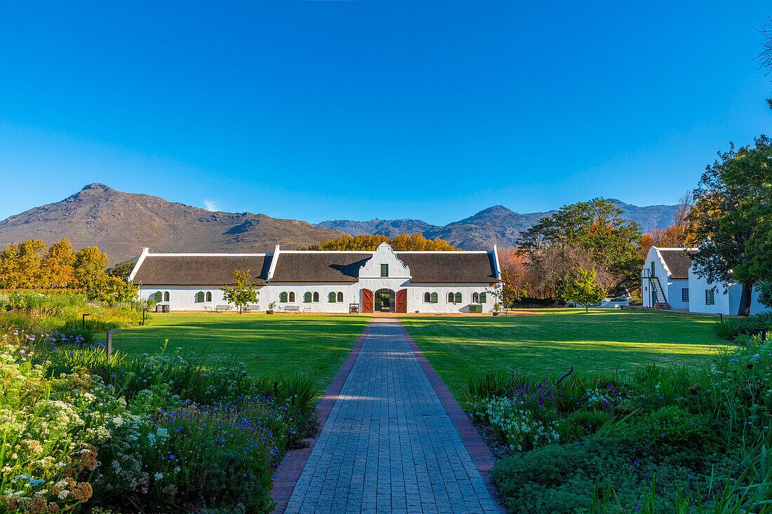 La Motte Wine Estate Tasting Room