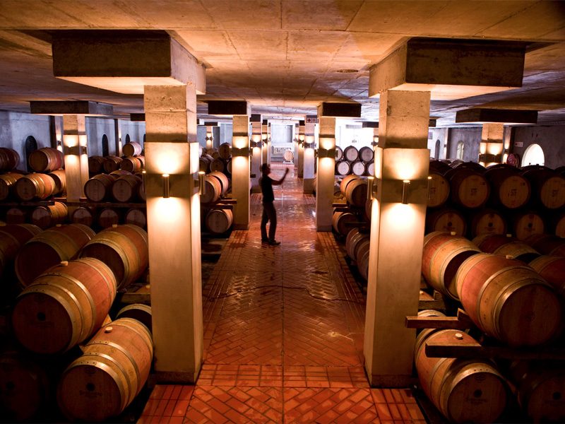 Cellar Tour