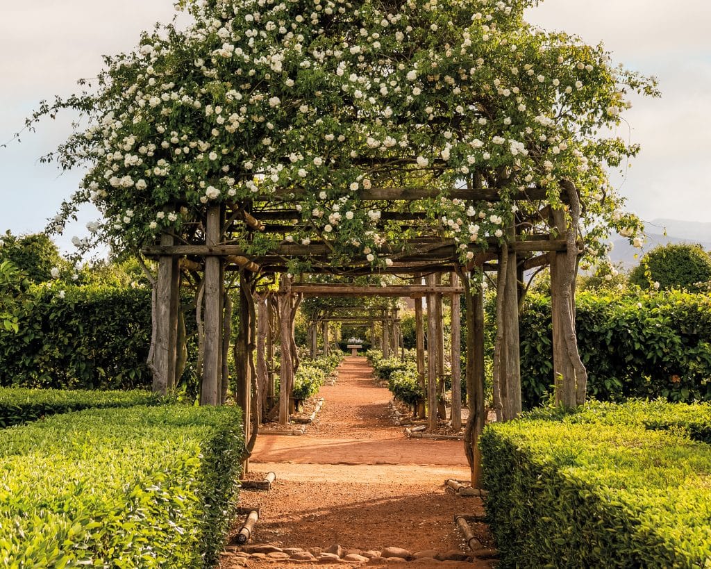Babylonstoren Garden Paths