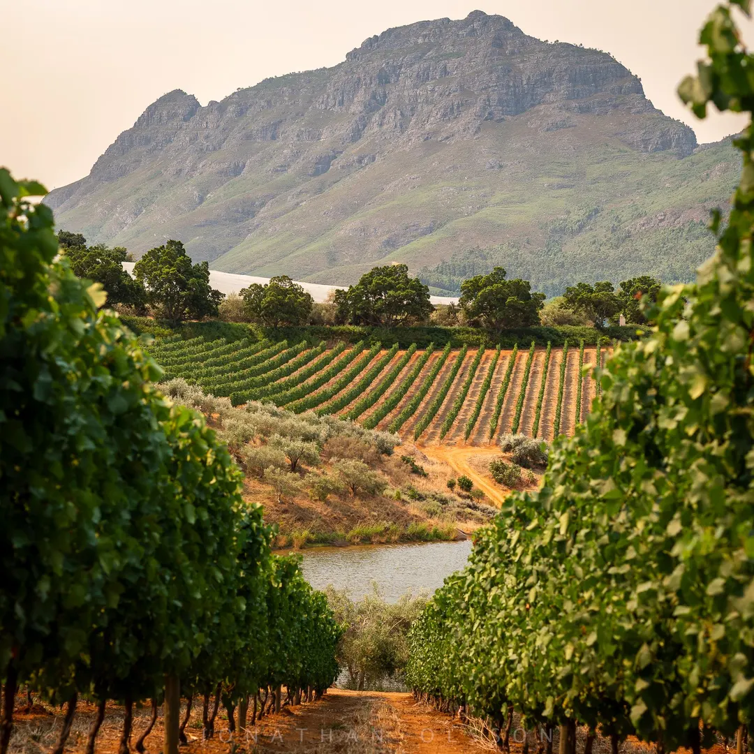 Franschhoek Valley Lookout