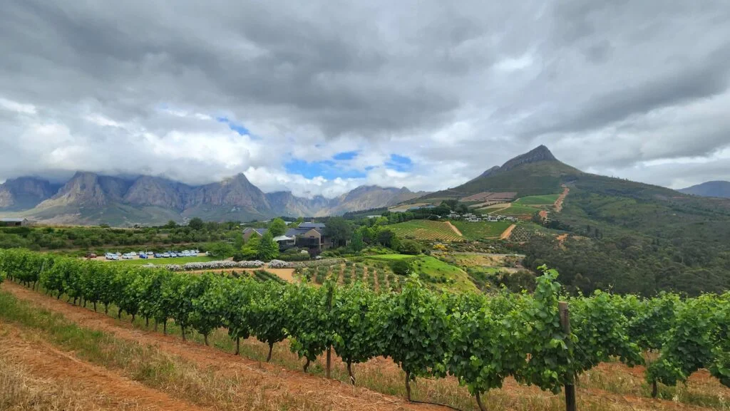 Tokara Olive Shed