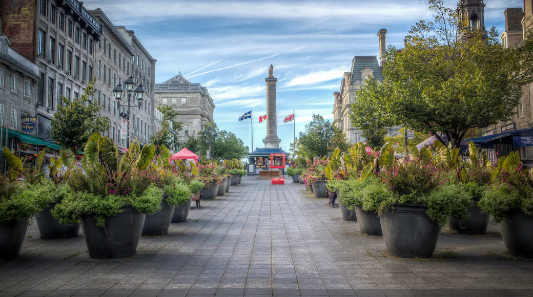 Place Jacques-Cartier