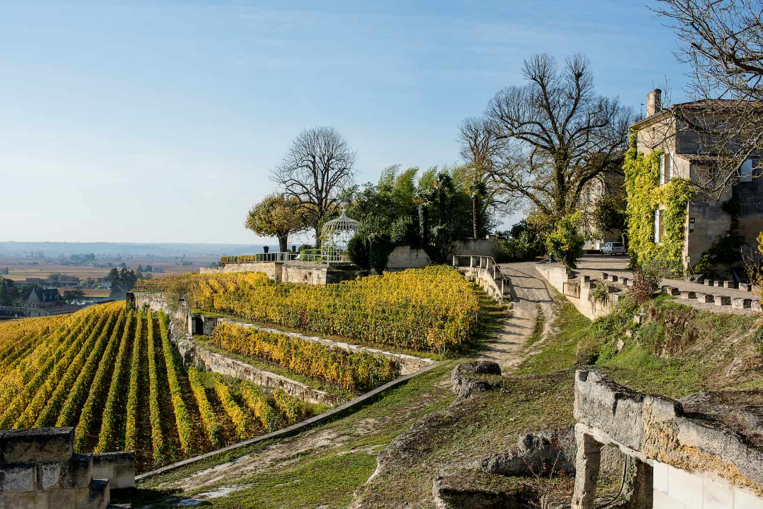 Château Ausone Vineyard Ridges