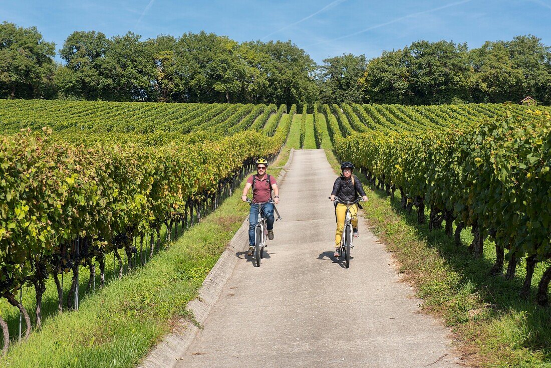 Saint Emilion E Bike Wine Tour