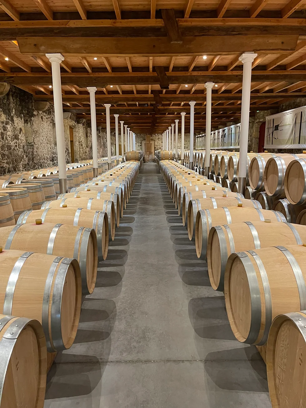 Saint Emilion Wine Tour Half Day
