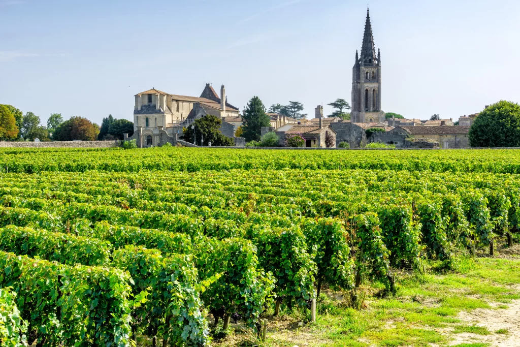 Vineyard Terraces