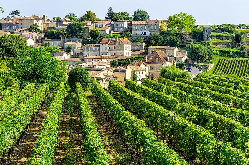 Vineyard Terraces