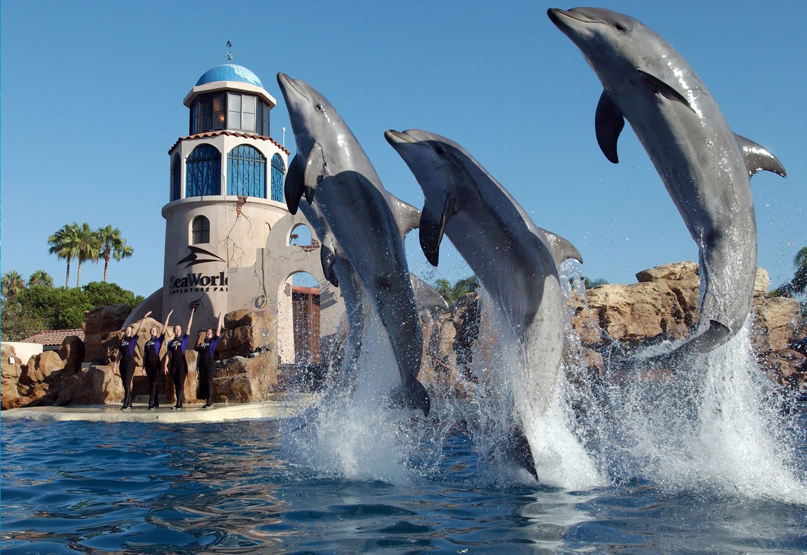 SeaWorld San Diego