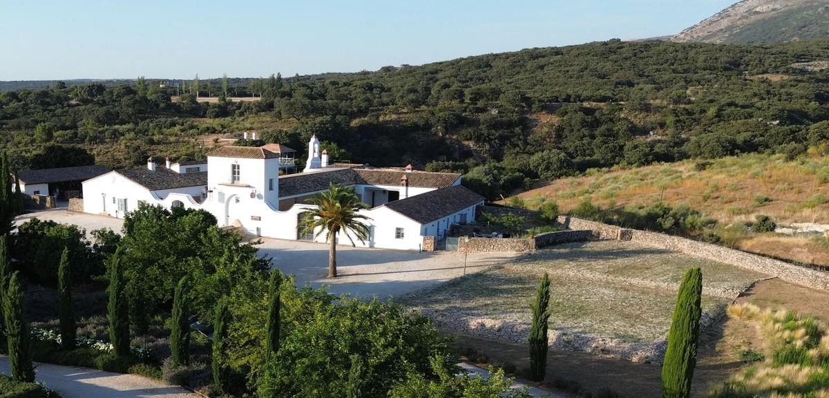 The Terrace Vista