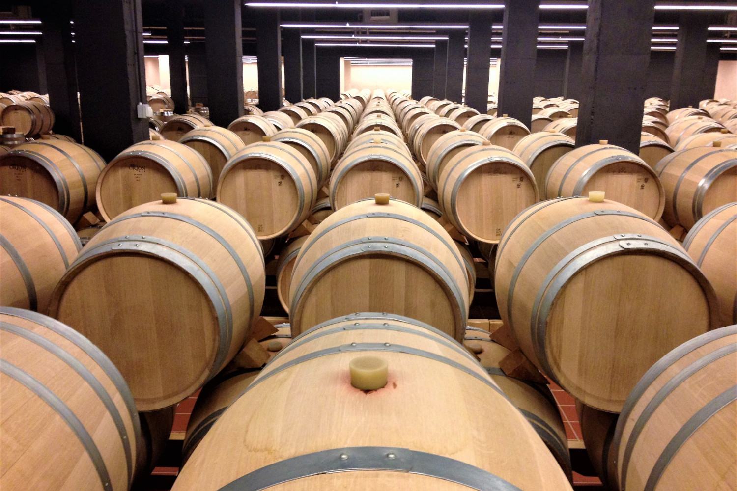 Wine Tour From Ronda