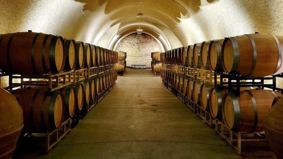 The Aging Cellar