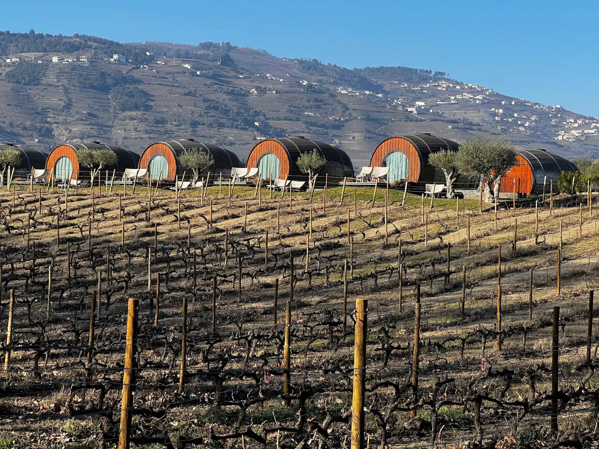 Quinta da Pacheca