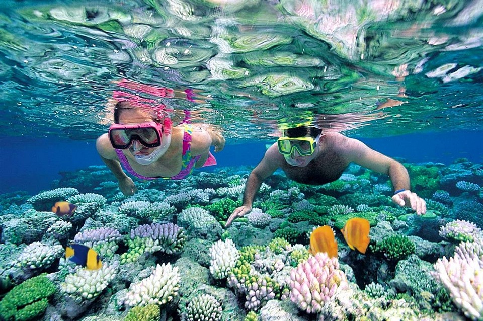 Outer Coral Garden Reef