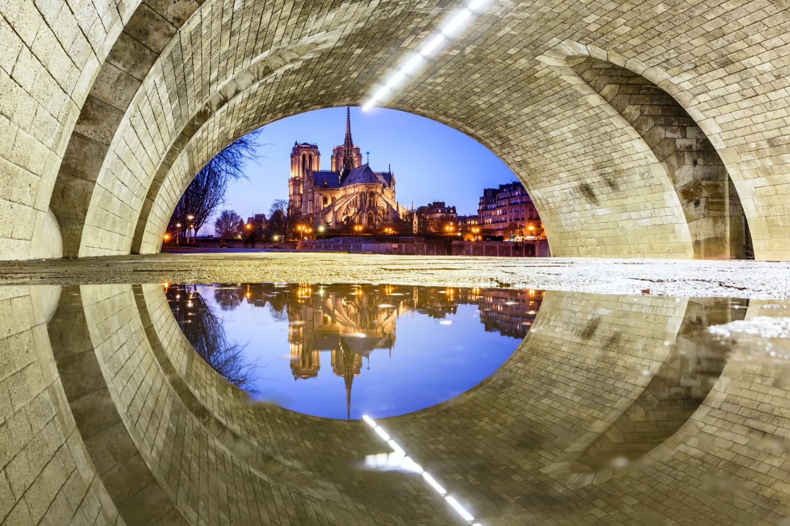Notre-Dame Cathedral Rear