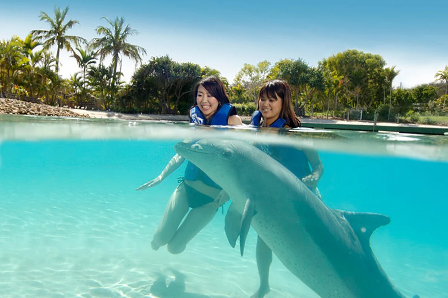 Your experience at Ocean World Dominican Republic Tours & Tickets