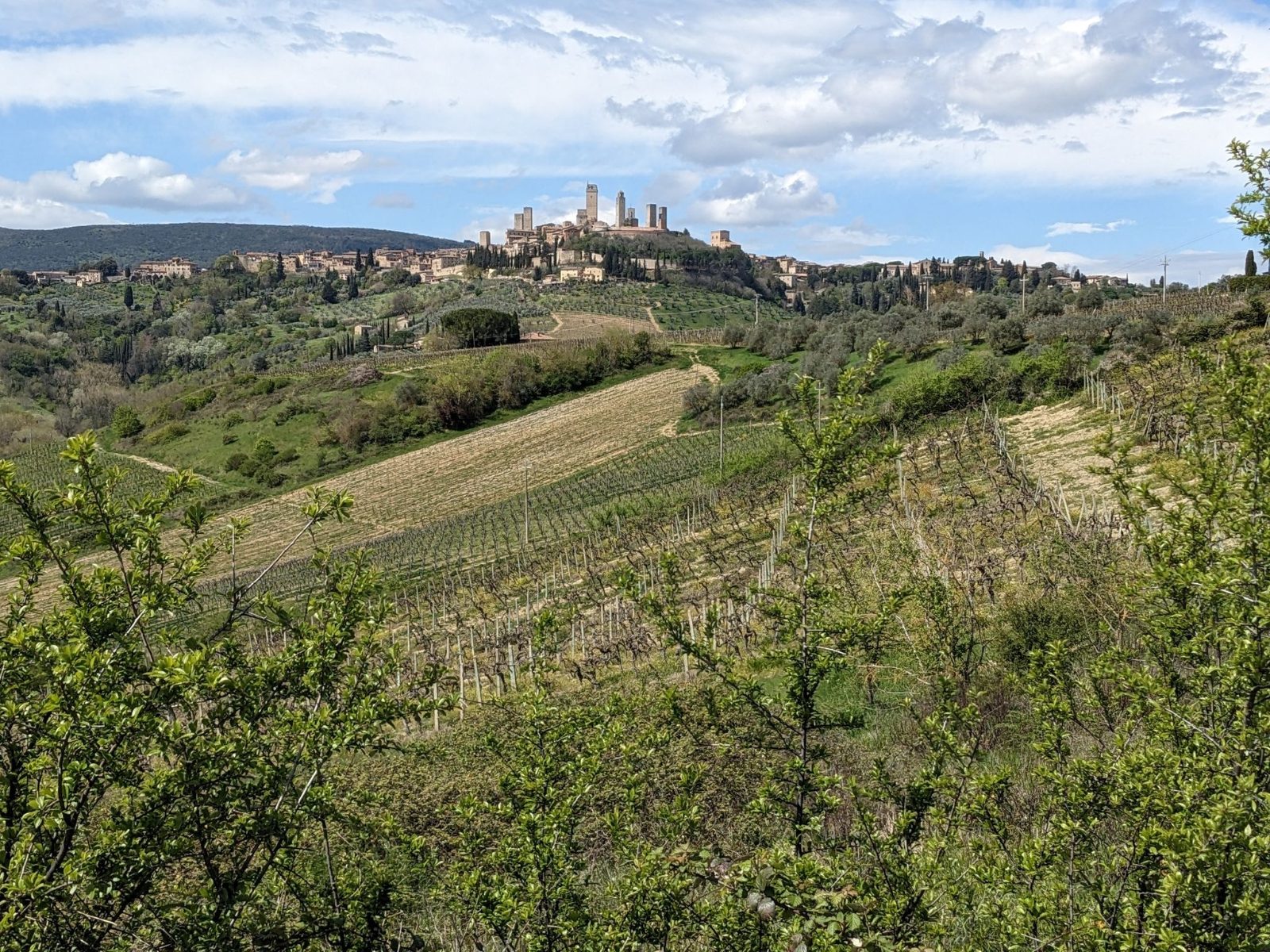 Rocca di Montestaffoli Terrace
