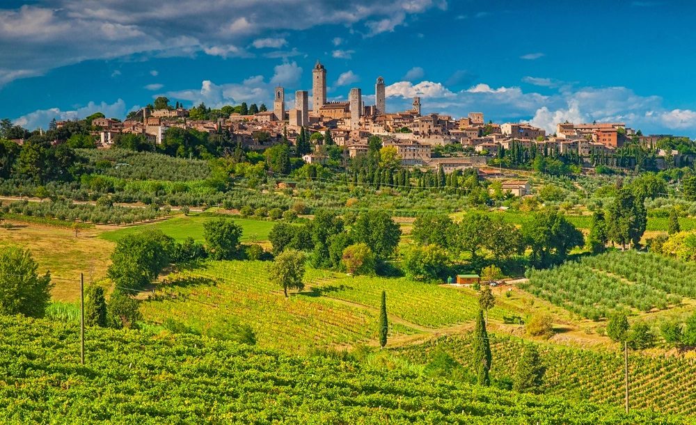 Vineyard Terrace Overlook