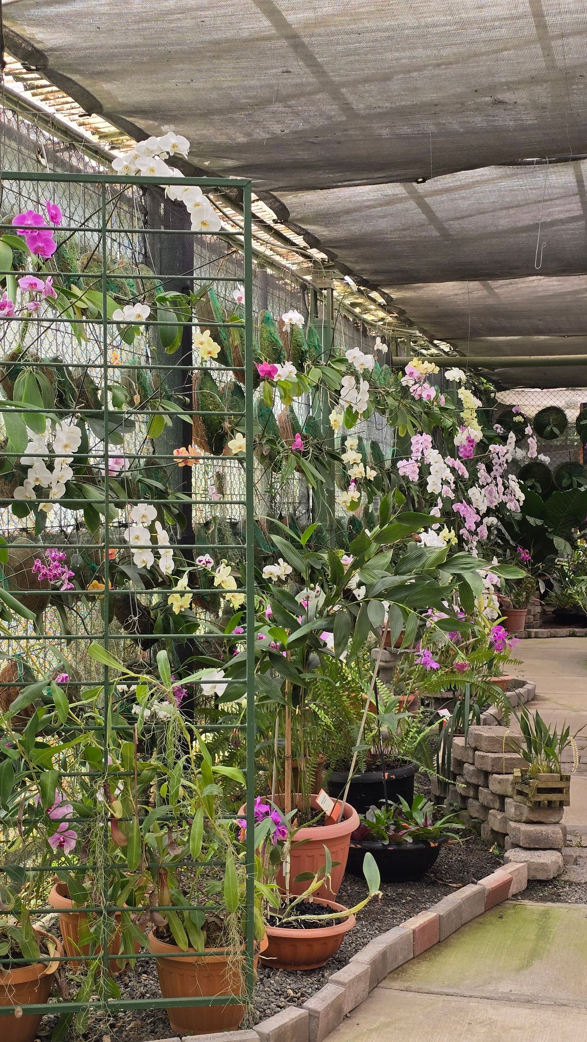 Jardín Botánico Lankester