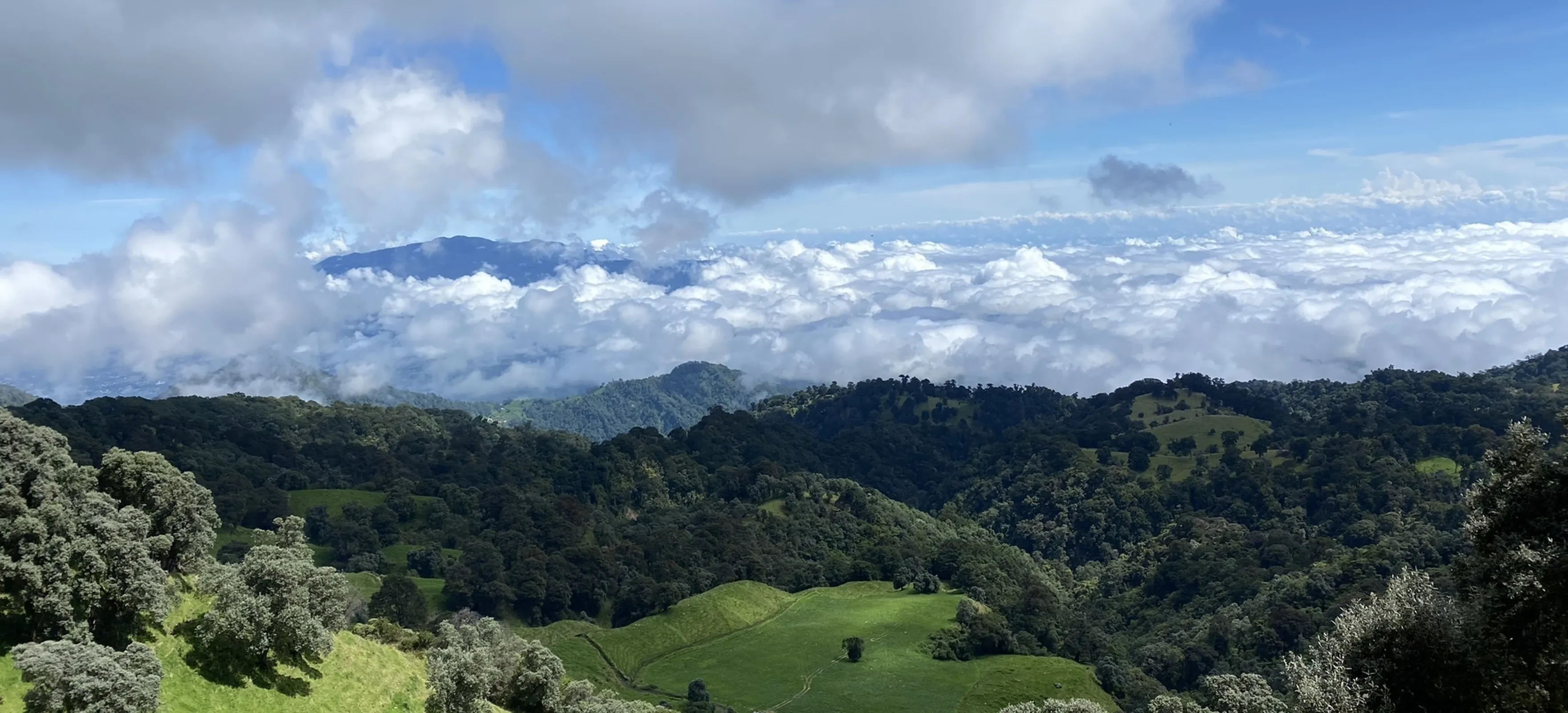 Prusia Sector Cloud Forest