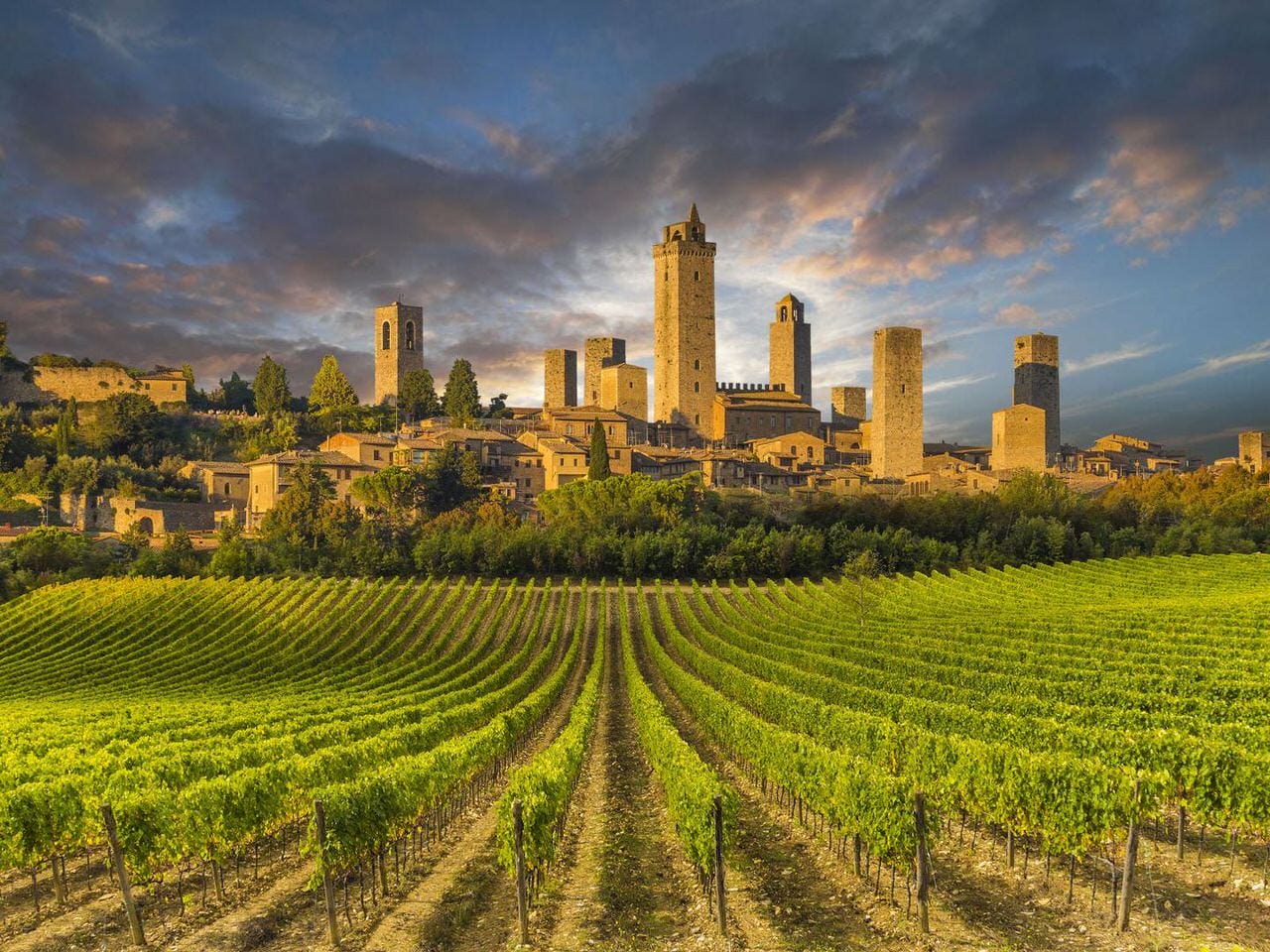 Vineyard Observation Terrace