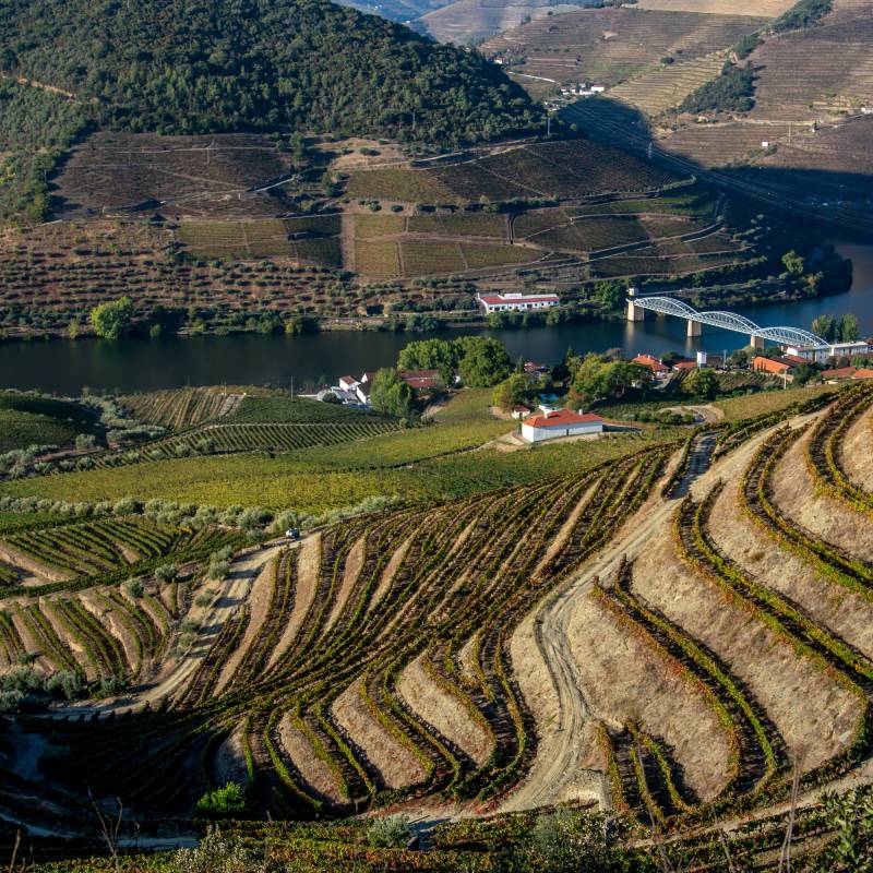 Quinta do Bomfim Terraces