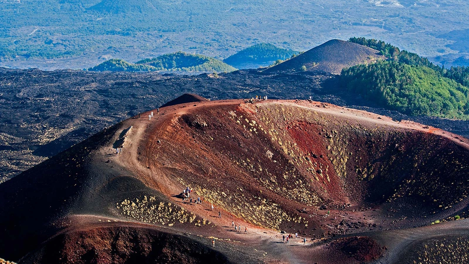 Silvestri Craters