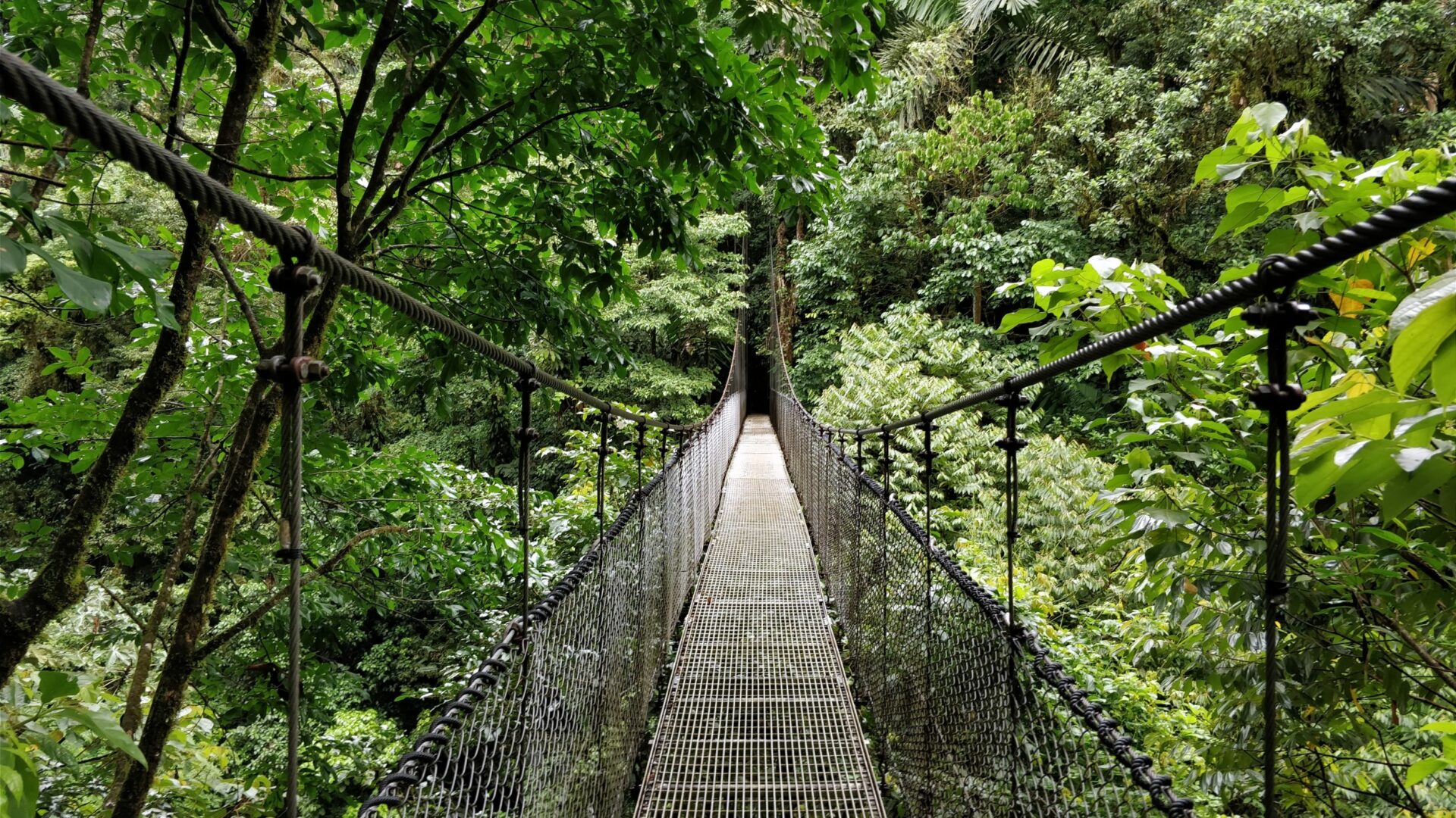 Mistico Arenal Hanging Bridges Park