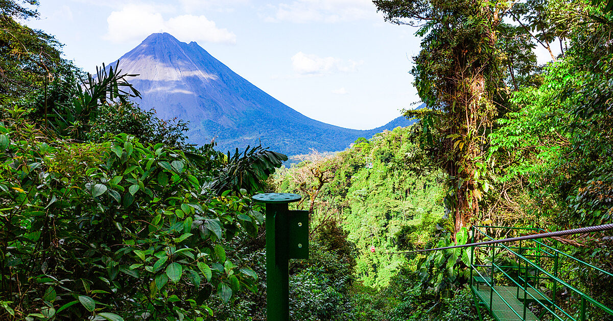 Rainforest Canopy Observation Platform